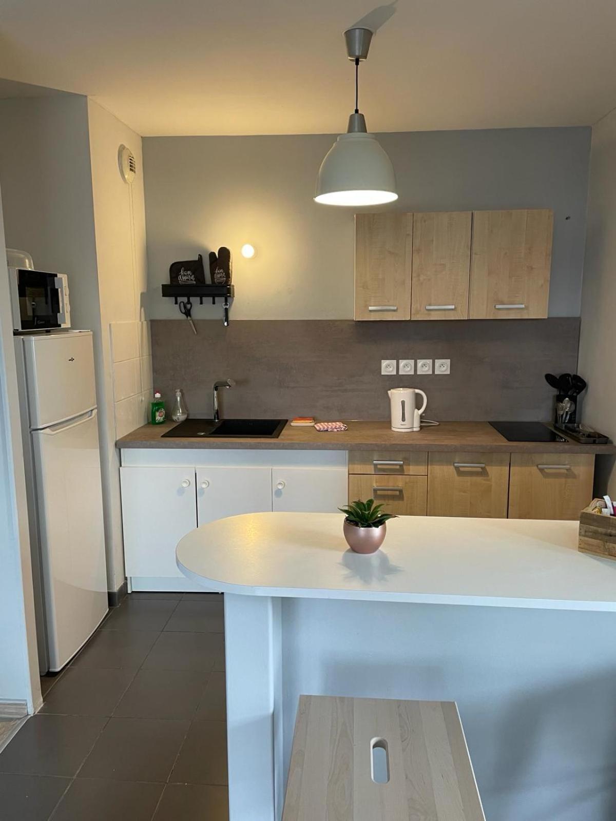 Appartement 2 Chambres Avec Terrasse Et Garage Saint-Andre-lez-Lille Exteriér fotografie